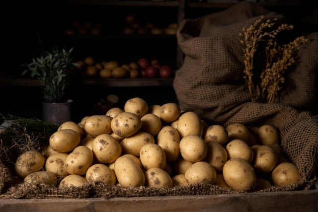 Comment conserver des pommes de terre tout l’hiver : astuces et conseils