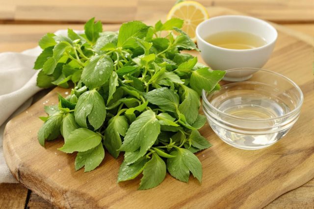 Faut-il laver la verveine avant de la faire sécher ?