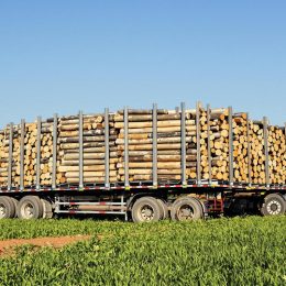 Prix d'un semi-remorque de bois de chauffage en 2m.jpg