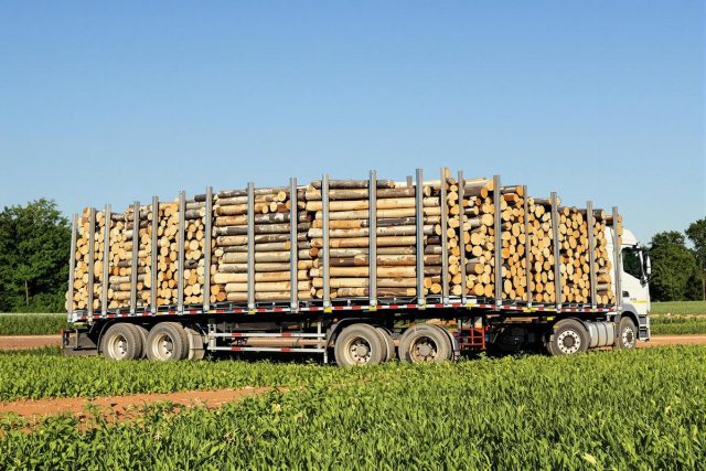 Prix d’un semi-remorque de bois de chauffage en 2m